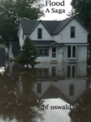 cover image of The Flood